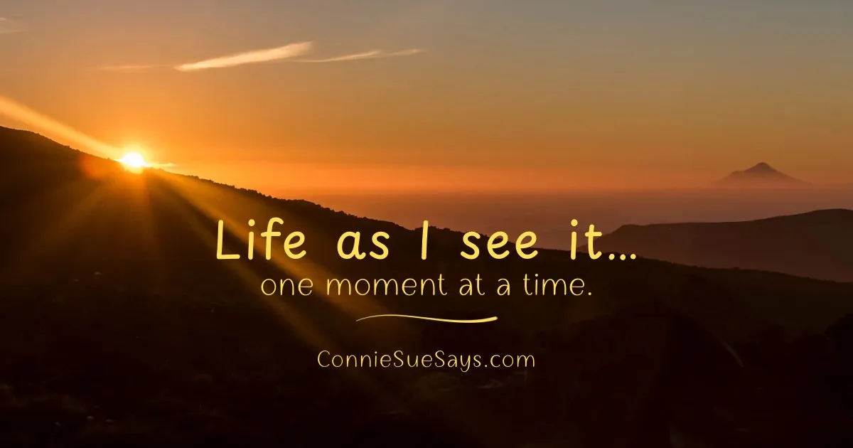 Connie Sue Says