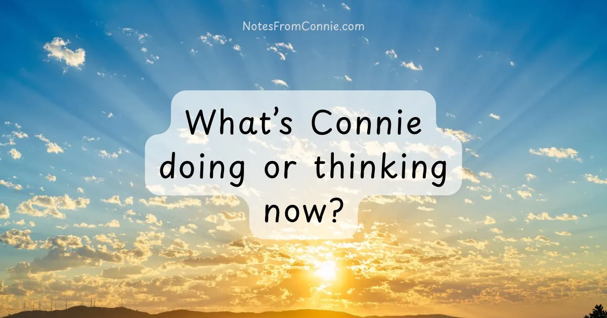 What’s Connie doing or thinking now?