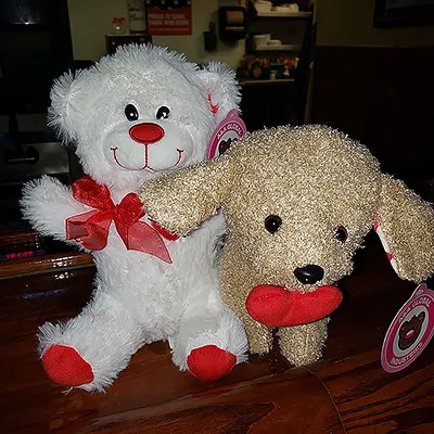 a white and red teddy bear and a little brown puppy plush