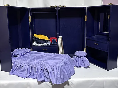The aforementioned trunk in a rather unpleasant shade of purple-blue