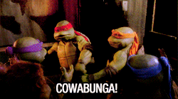The Ninja Turtles high fiving and yelling "Cowabunga!"