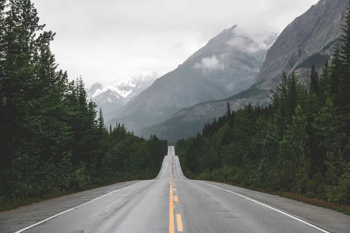 An empty asphalt road cutting through dense green trees under distant mountains.