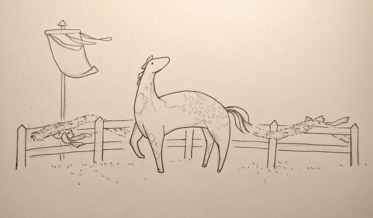 horse