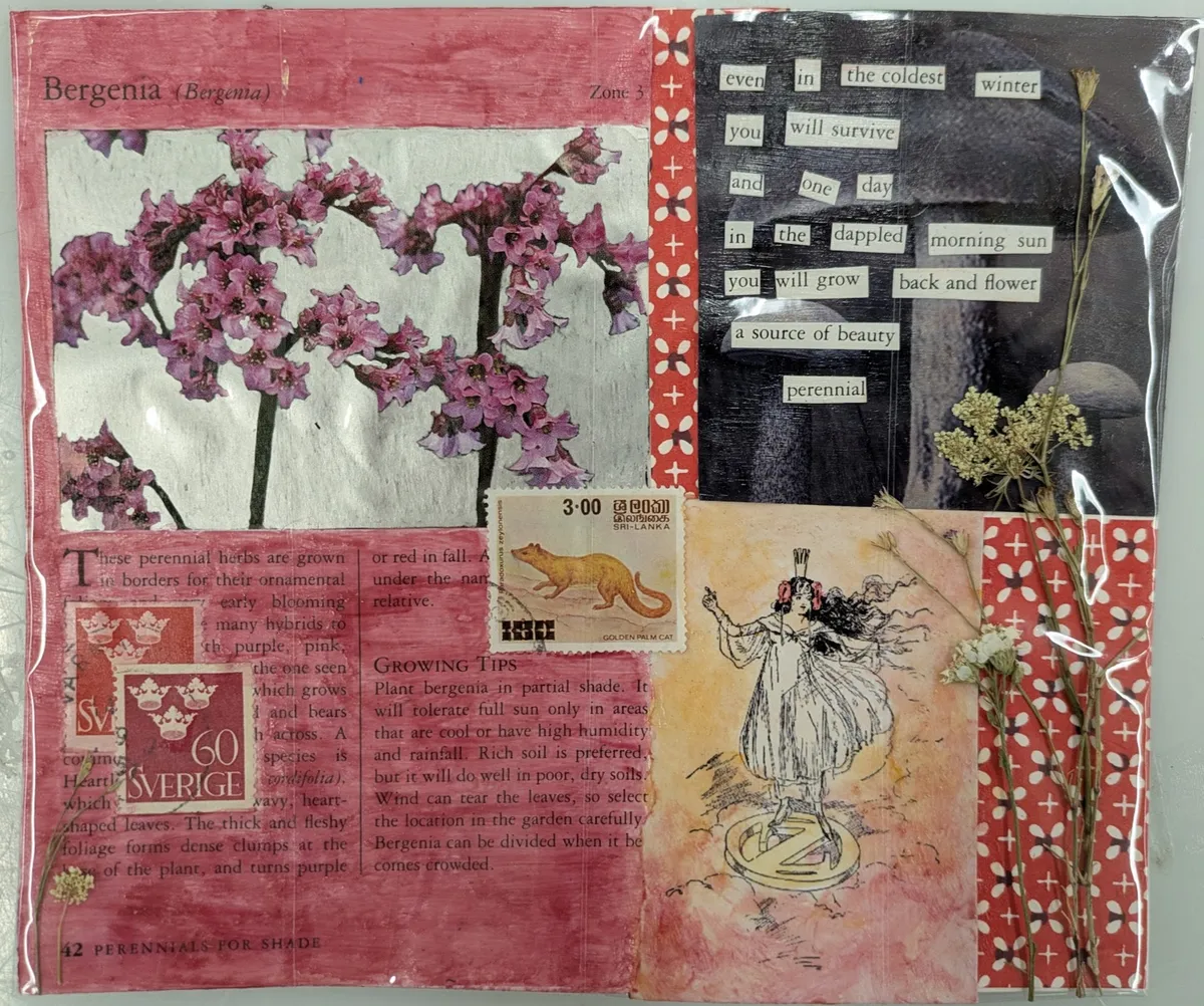 perennial-collage