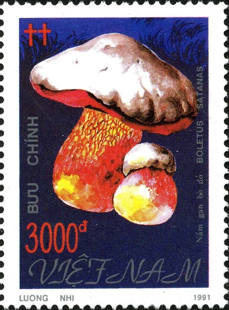 satans-mushroom-boletus-satanas