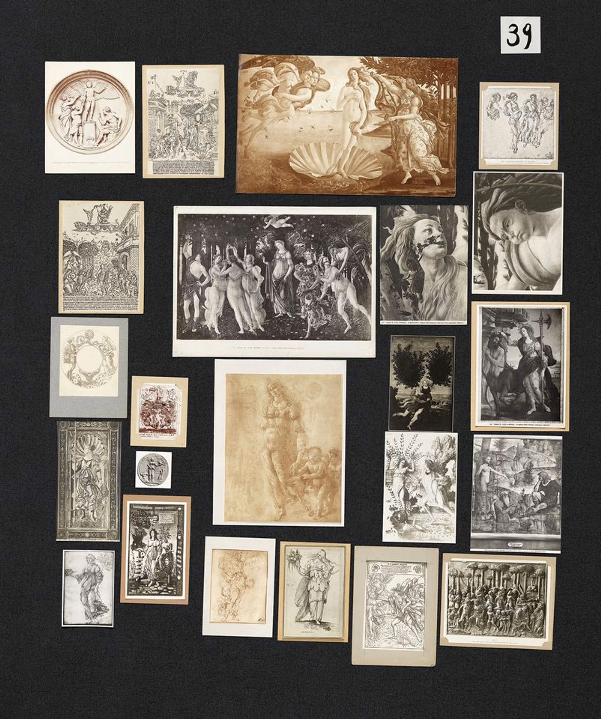 Untitled (Vénus à la fourrure)