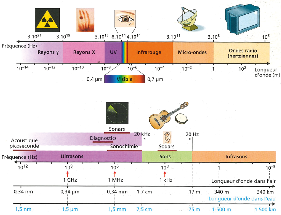 Untitled (Vénus à la fourrure)