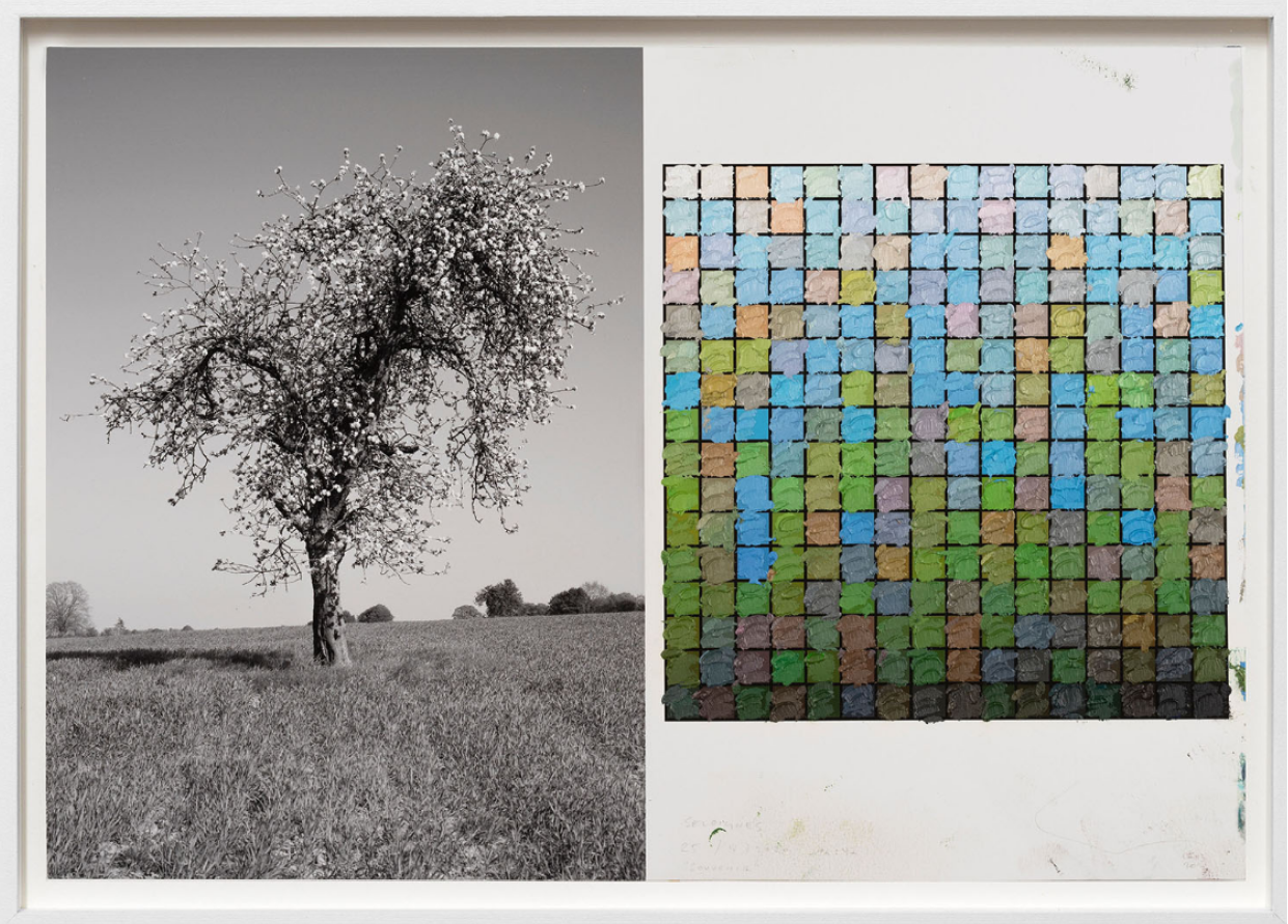 Untitled (Vénus à la fourrure)