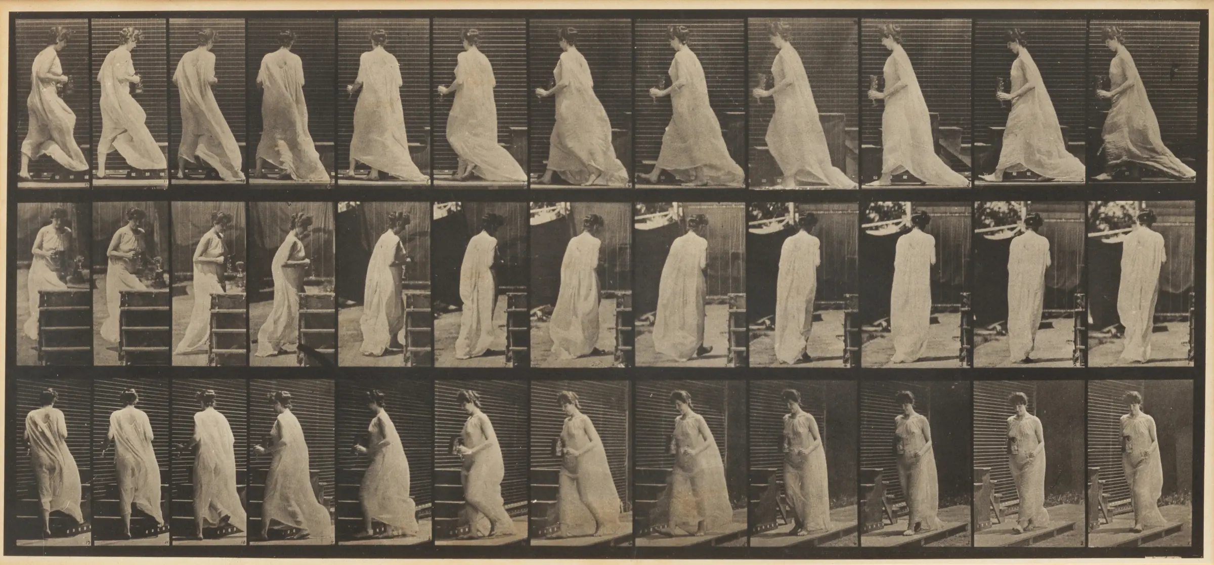 Untitled (Vénus à la fourrure)