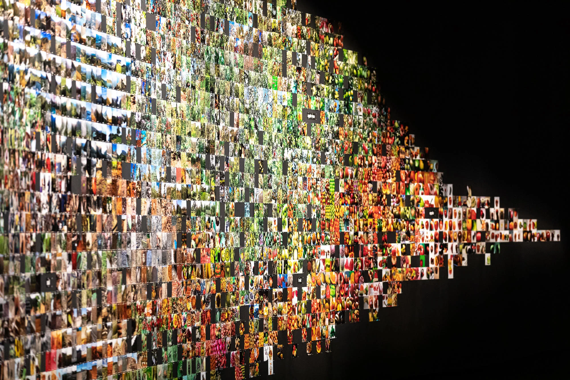 From ‘Apple’ to ‘Anomaly’, 2019, Trevor Paglen