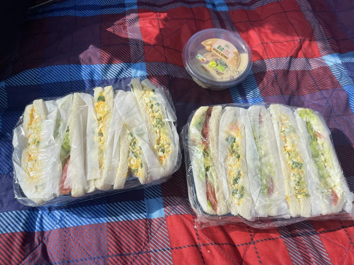 Made eggsandos from the Final Fantasy XIV cookbook for a picnic out with my wife. They were crazy good (08.03.26)