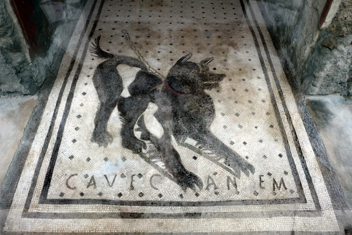 Mosaic depicting a dog, with the text:
