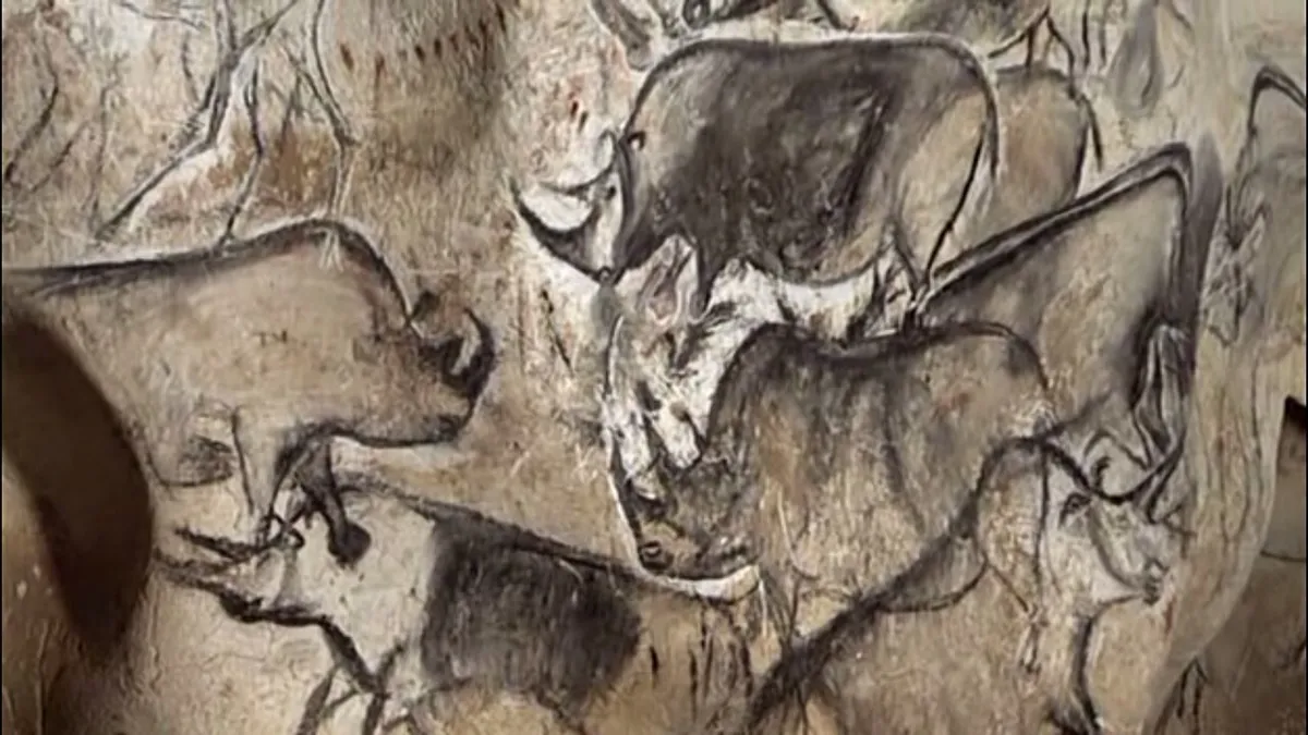 Rhinos at Chauvet Cave (wikipedia)