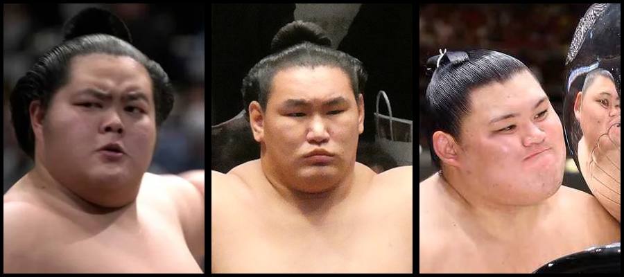 sumo_trio