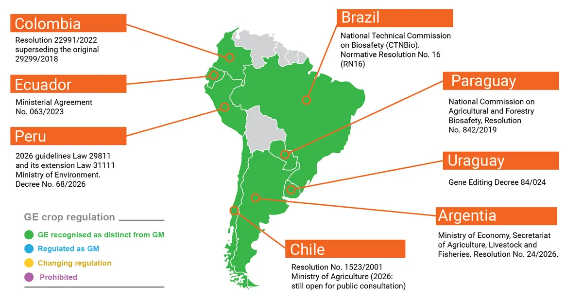 South America