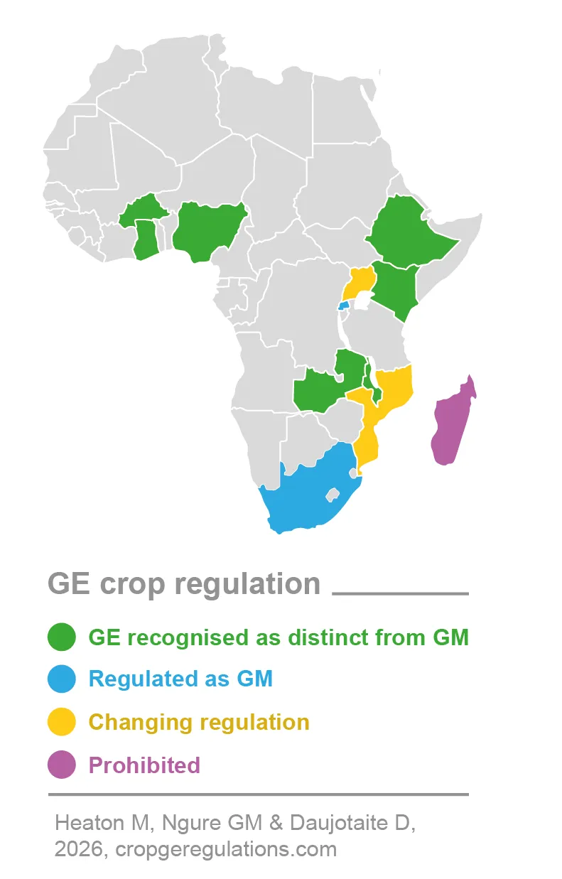 GE maps June 2026-05