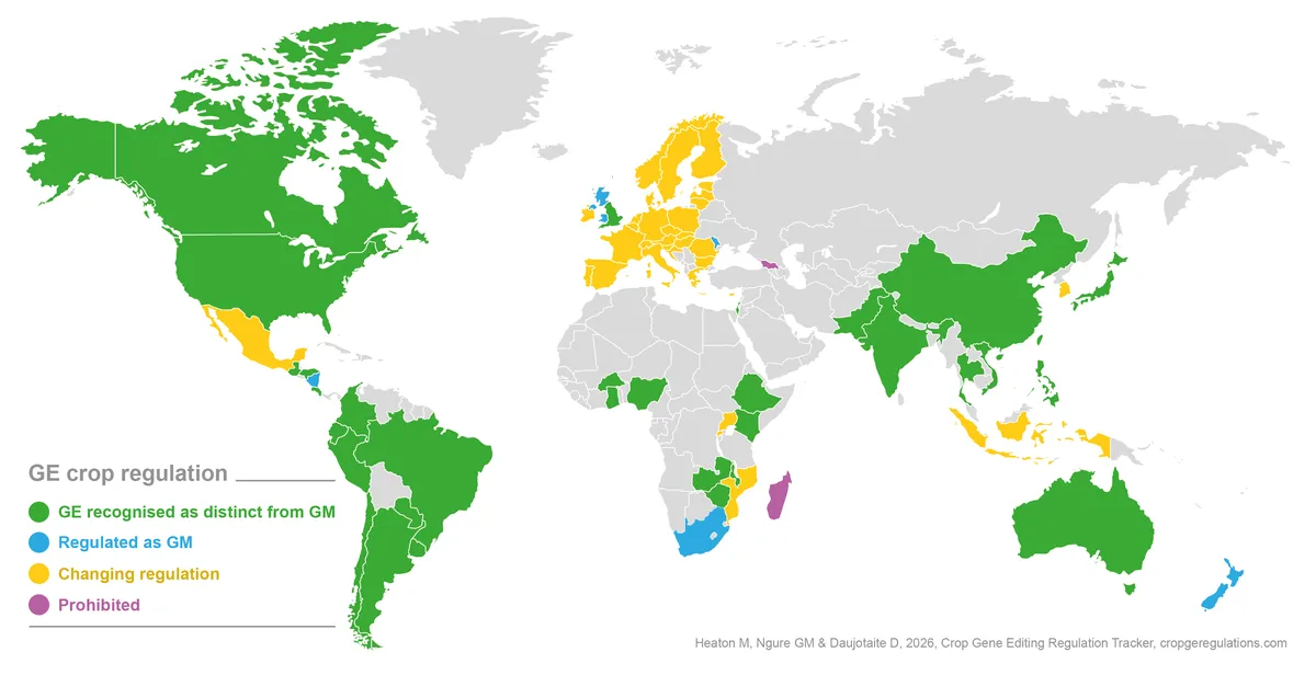 GE maps June 2026-08-03-01