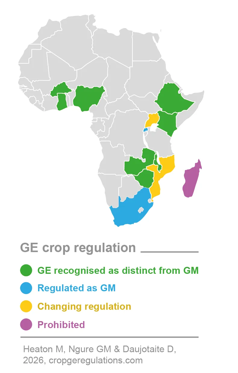 GE maps June 2026-08-03-05