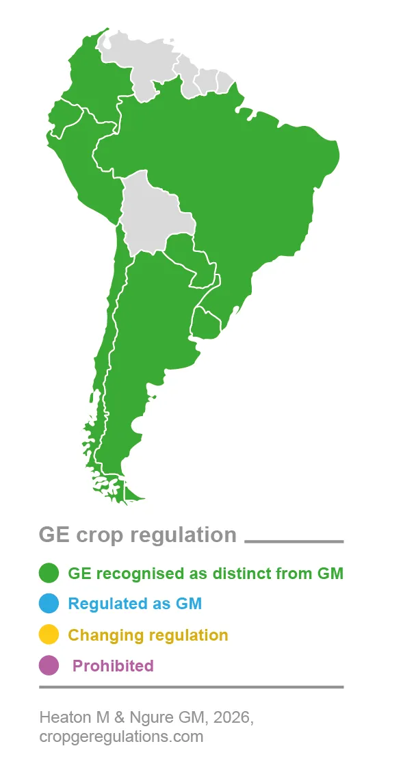 GE recognition-03-May-26
