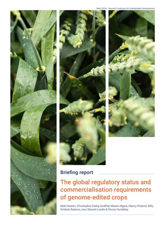 GE_report_cover