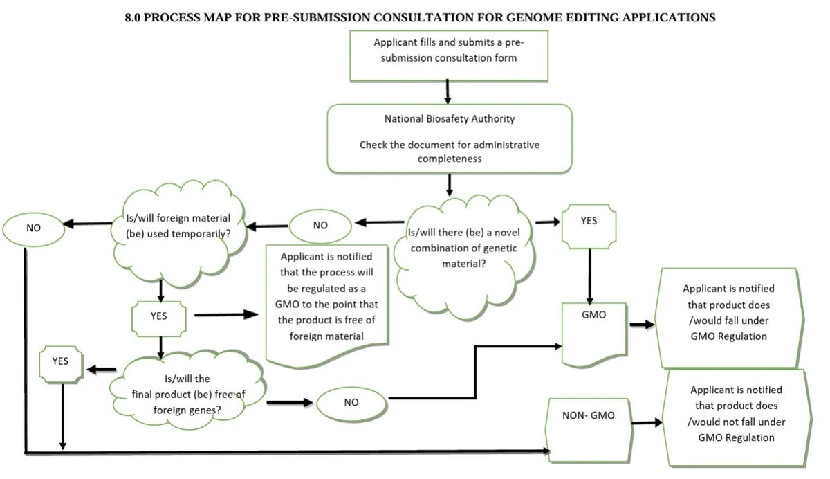 ghana regulatory flow chart