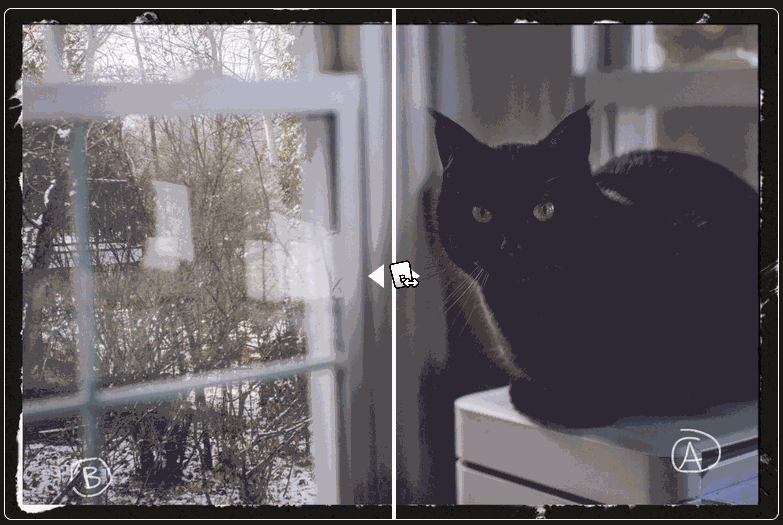 Preview for Printercat – quailblog
