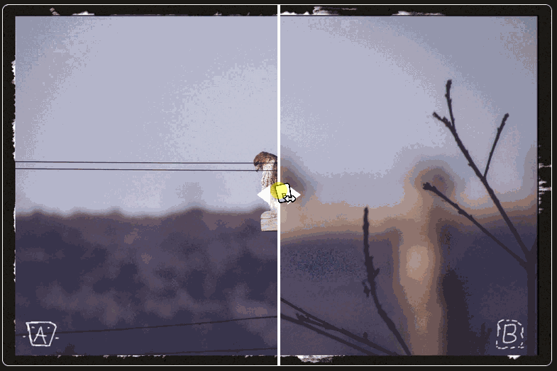 Preview for Winter Friends – quailblog