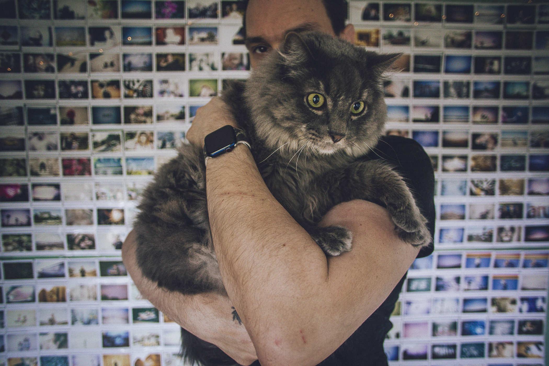 Same as above but I'm holding a longhair grey cat; he's massive