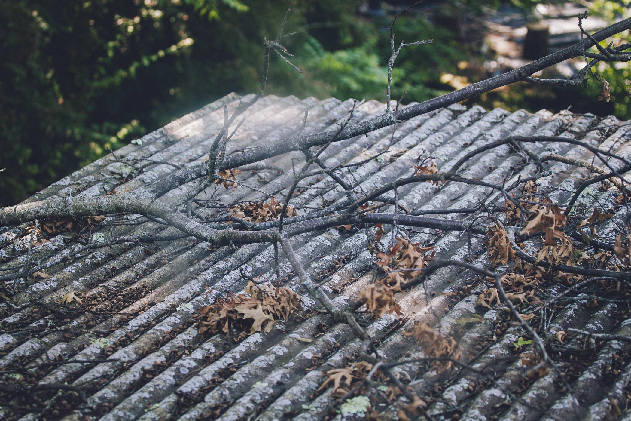 Photo of a large oak tree branch that has fallen on a metal corrugated roof