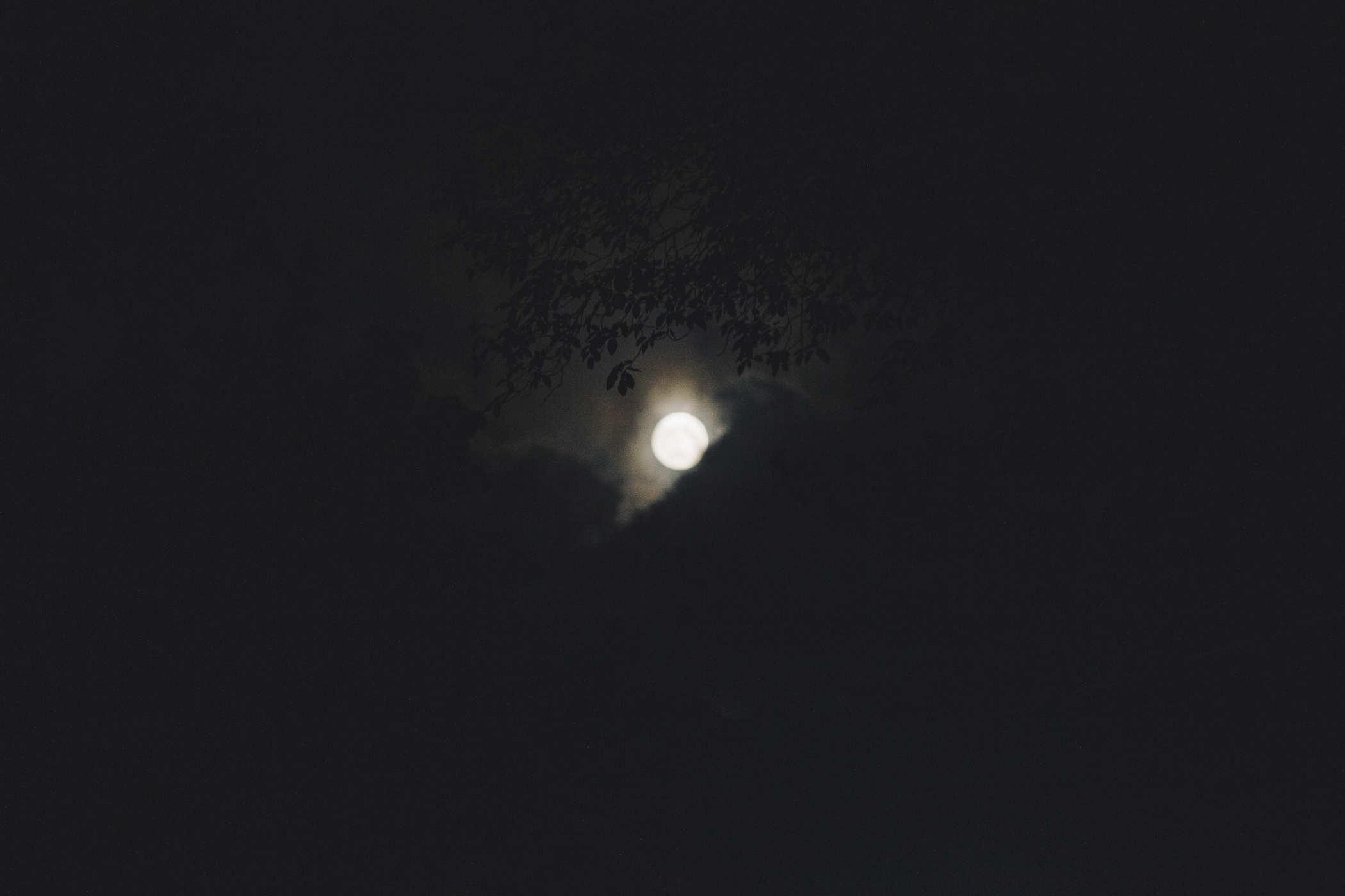 The same moon with a wider lens; tree leaves frame the top and clouds are attempting to cover it