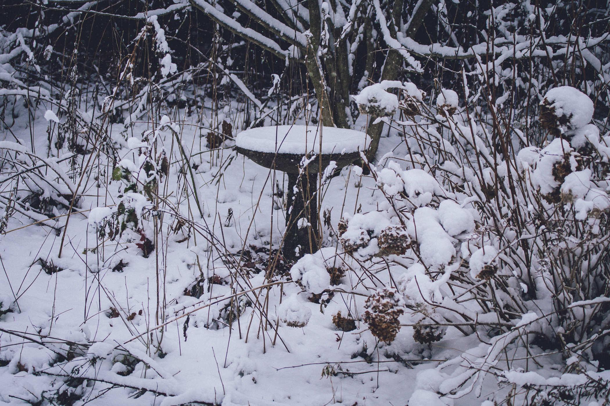 photo of a bird bath with a heavy layer of snow on it