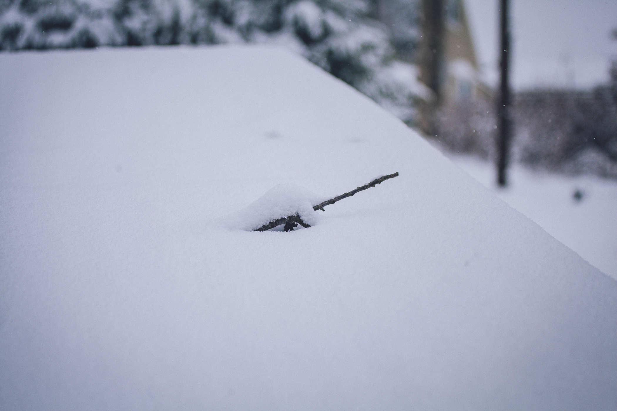 photo of a sheet of snow with a twig sticking out of it