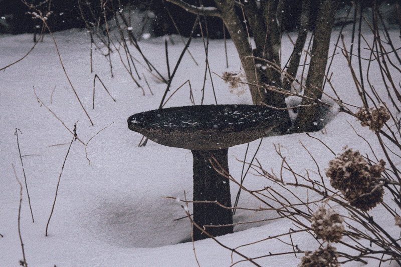Gif of snow falling on a stone birdbath