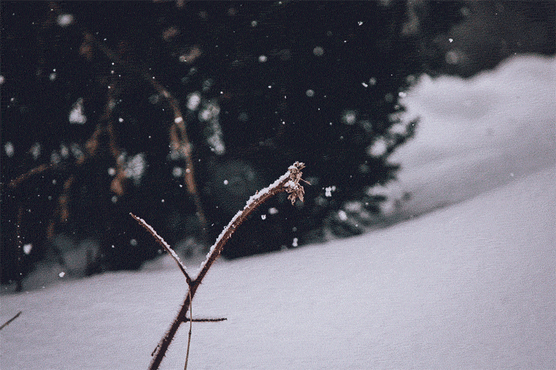 Gif of snow falling on a twig sticking up into the air