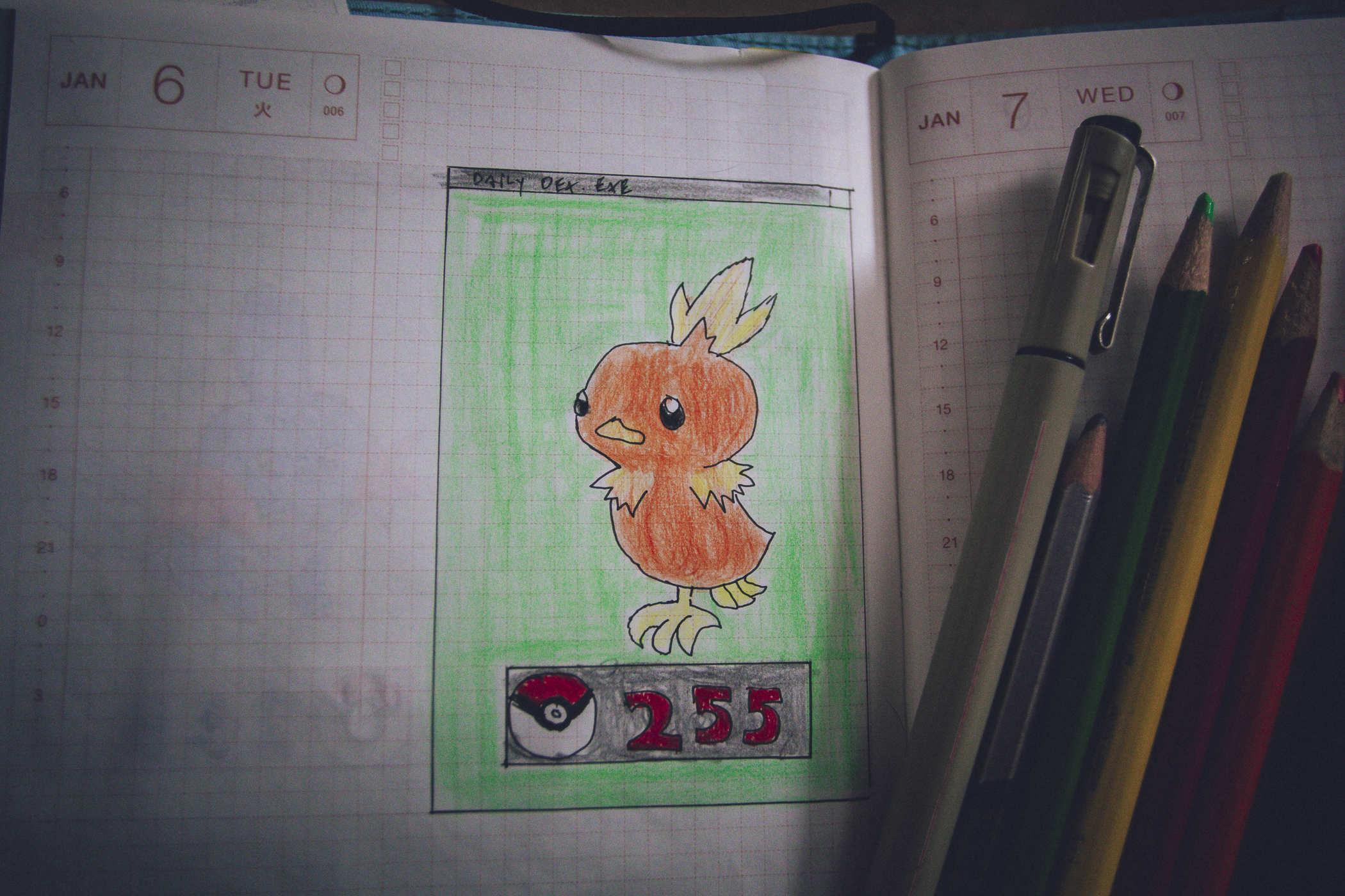 Drawing of pokemon 255; a small orangeish bird creature with feathers that could be flame accents (it's a fire chicken) 