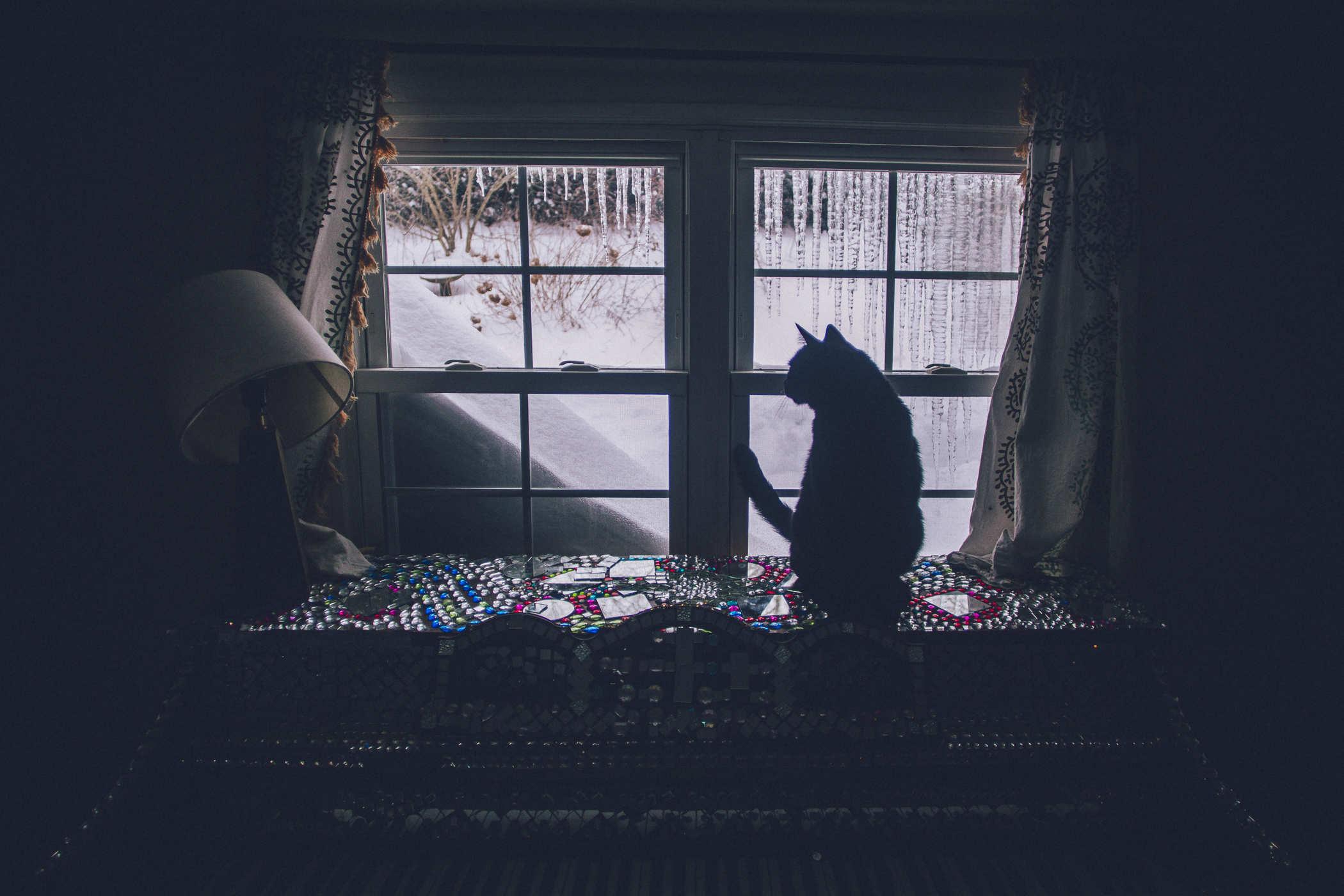 Silhouette of a black cat sitting on top of a piano staring out a window with massive snow covering it