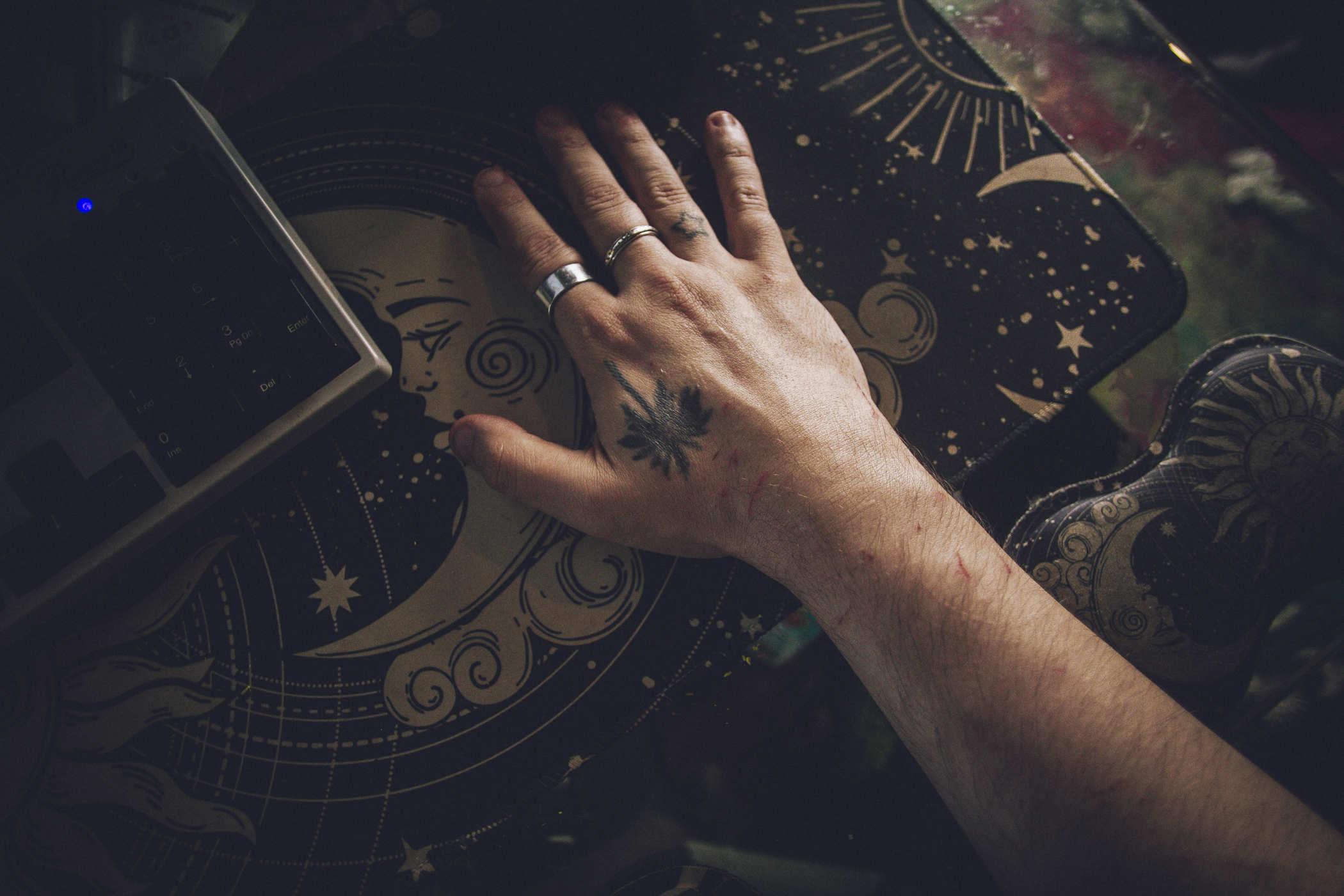 Photo of my right arm covered in cat scratches; I have a palm tree tattoo in between my thumb and index finger and a star on my ring finger