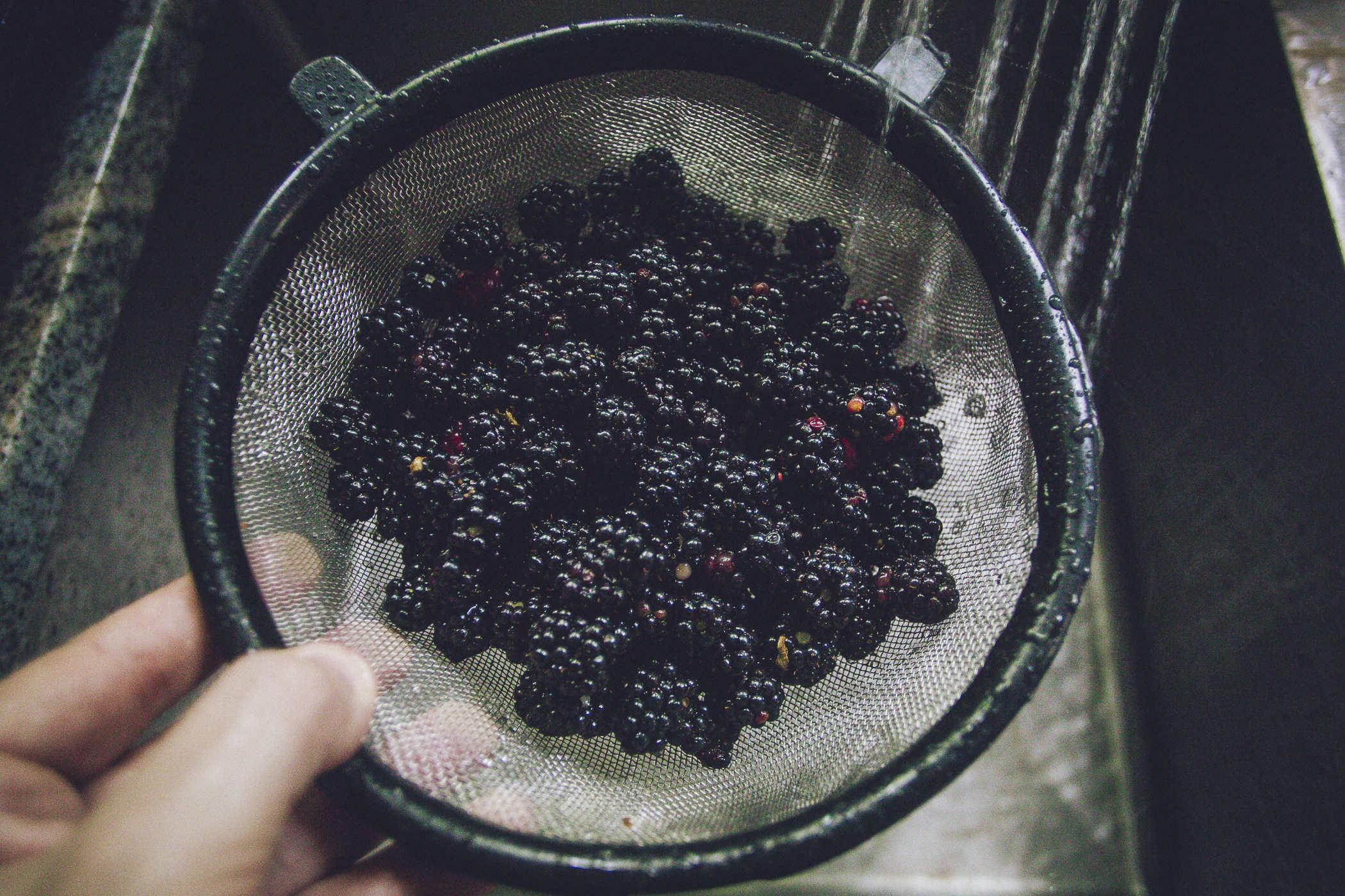 Photo of several reddish berries on a vine with a darker, purple one ready for picking