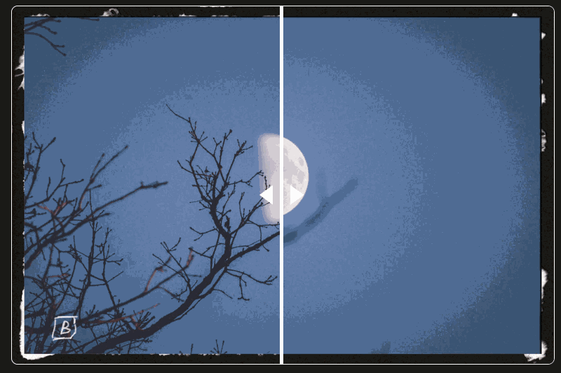 Preview for Went on a moon photo sidequest this weekend – quailblog
