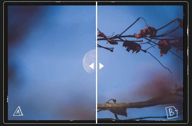 Preview for An Abundance of Moon – quailblog