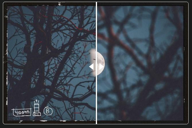 Preview for More adventures in camera focus | quailblog