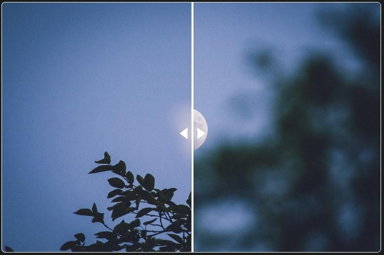 Preview for Camera Focus Adventures: Sunday's Daymoon – quailblog