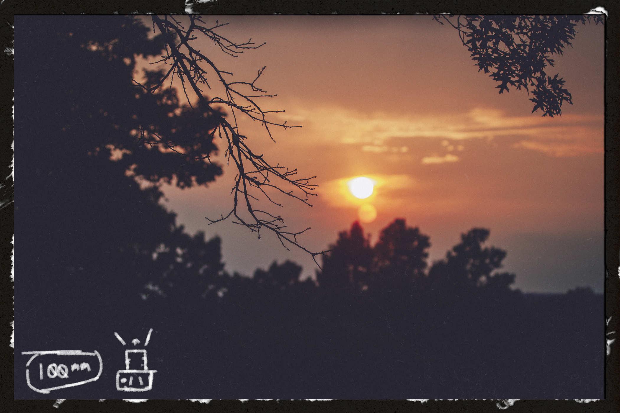 Photo of trees in silhouette in front of a setting sun; handwritten in the lower left is '100mm' and a drawing of a camera