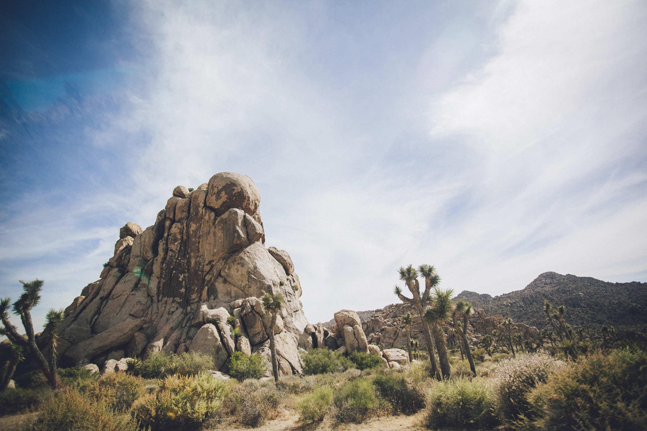 Photo of a large rock formation and desert plants taken at Joshua Tree National Park