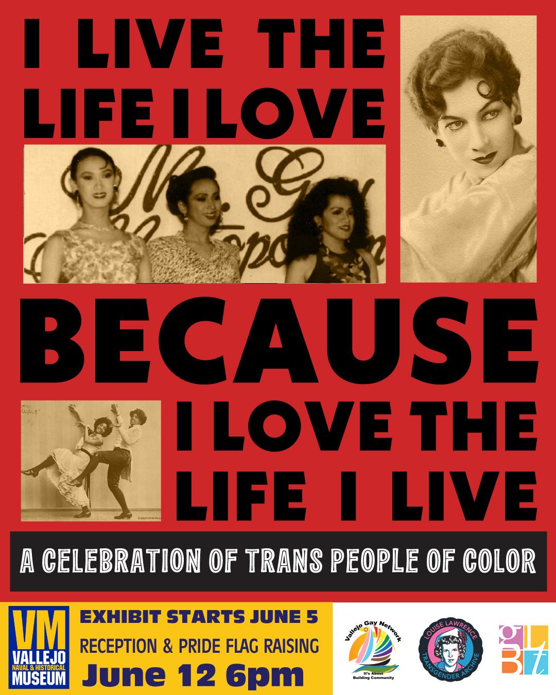 'I live the life I love because I love the life I live' a celebration of trans people of color. 