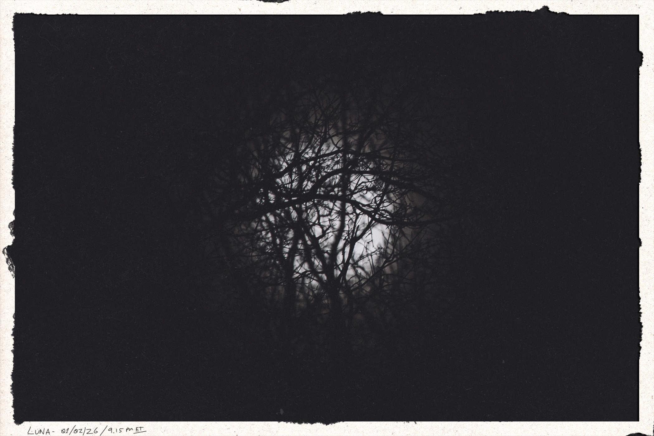 Framed photo of the moon, but it's blurred by a bunch of branches so it's just a white blob in silhouette; handwritten in the lower left is LUNA 01/02/2026 // 9:15pm ET