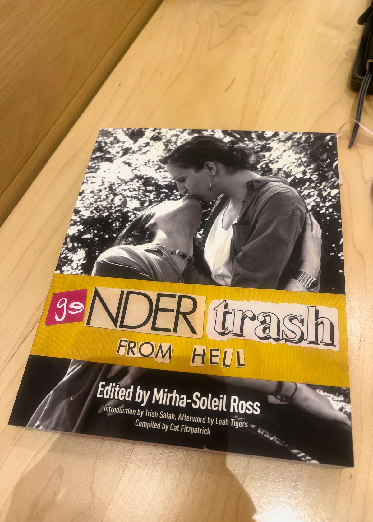 cover of gender trash from hell book 20251122-IMG_8725