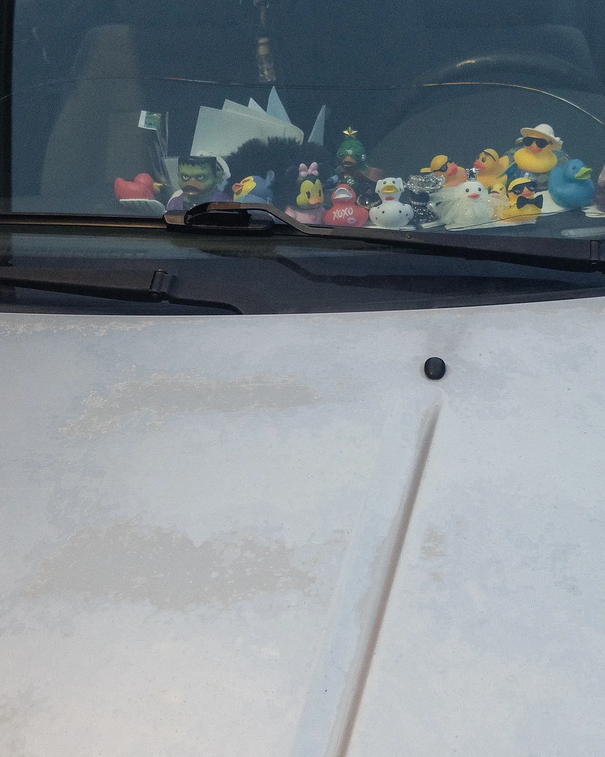 20260220-IMG_4039_SnapseedCopy