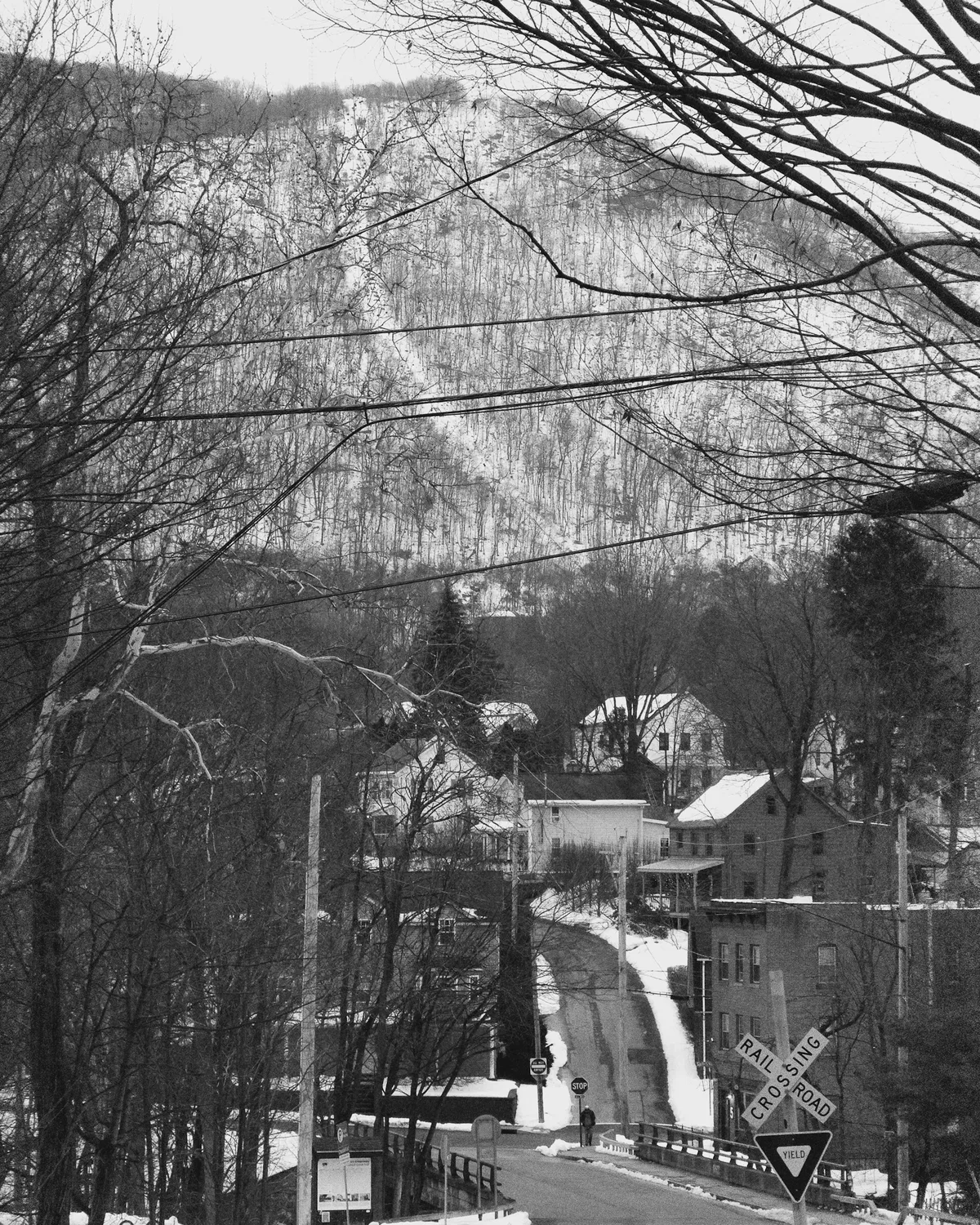 20260220-IMG_4047_SnapseedCopy