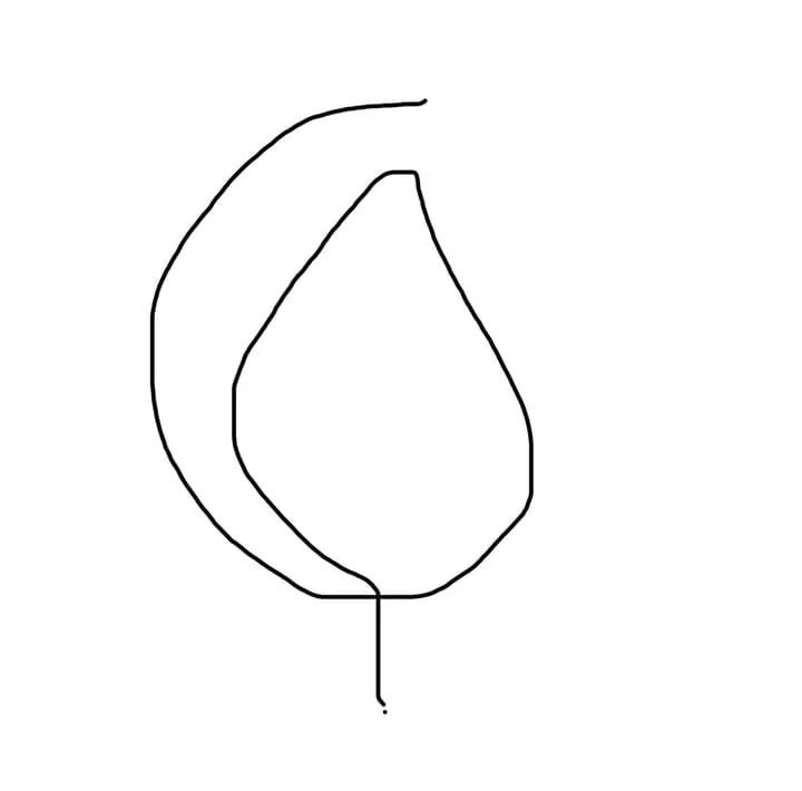 danebroderick.com